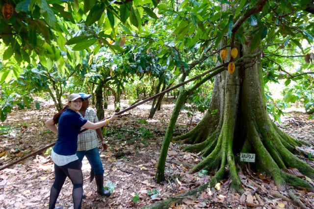 Chef Sandra Visits La Esmeralda Cacao Plantation In Dominican Republic